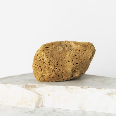 Naturalna gąbka morska (brązowa) - 9,5 cm 02F