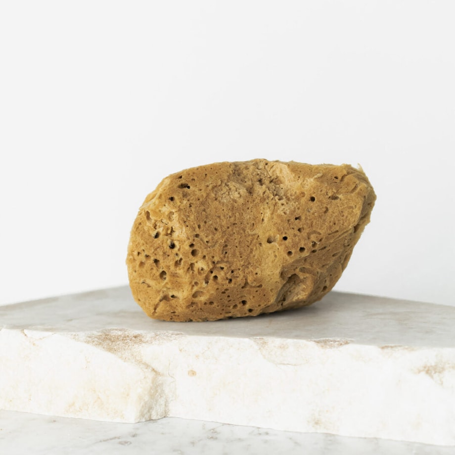 Naturalna gąbka morska (brązowa) - 9,5 cm 02F