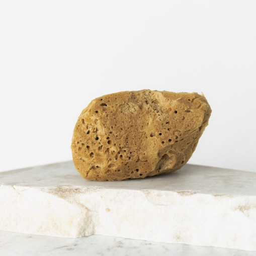 Naturalna gąbka morska (brązowa) - 9,5 cm 02F