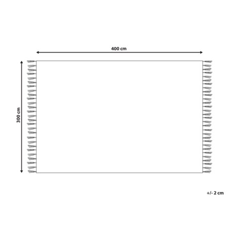 Dywan 300 x 400 cm beżowy SAZOO