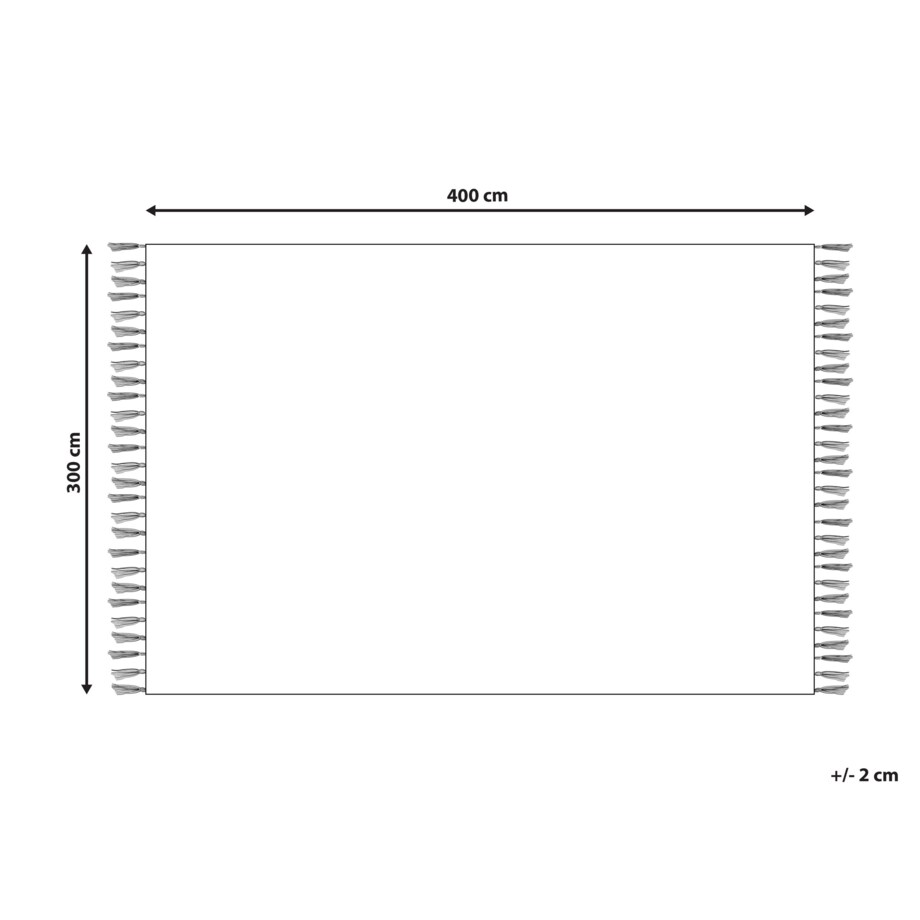 Dywan 300 x 400 cm beżowy SAZOO