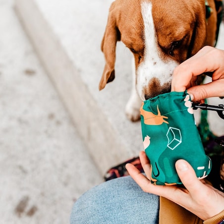 Mini saszetka na smaczki "Psy na jawie"