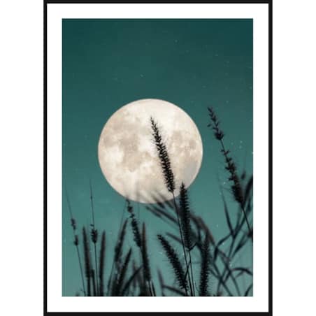 Poster Story, Plakat, Obraz - Pełnia Koźlego Księżyca, wymiary 21 x 30 cm