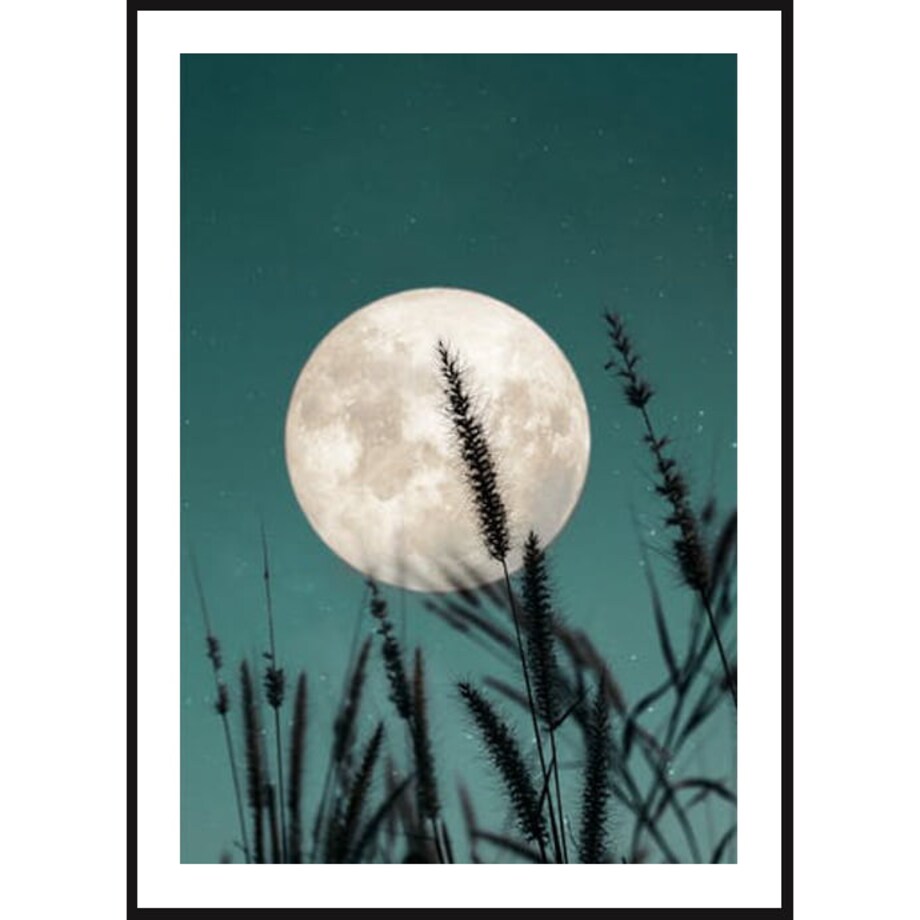 Poster Story, Plakat, Obraz - Pełnia Koźlego Księżyca, wymiary 21 x 30 cm