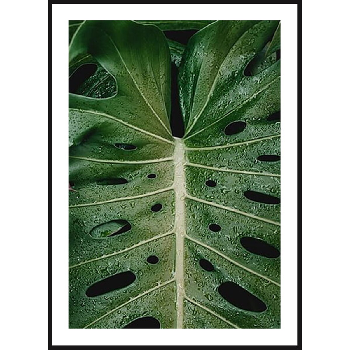 Poster Story, Plakat, Obraz - Liść z Dziurami, wymiary 70 x 100 cm