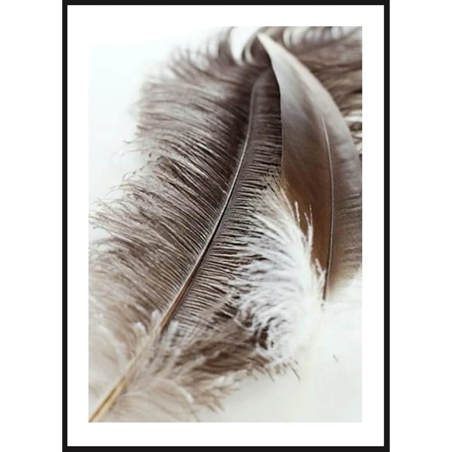 Poster Story, Plakat, Obraz - Delikatne Piórka, wymiary 60 x 84 cm