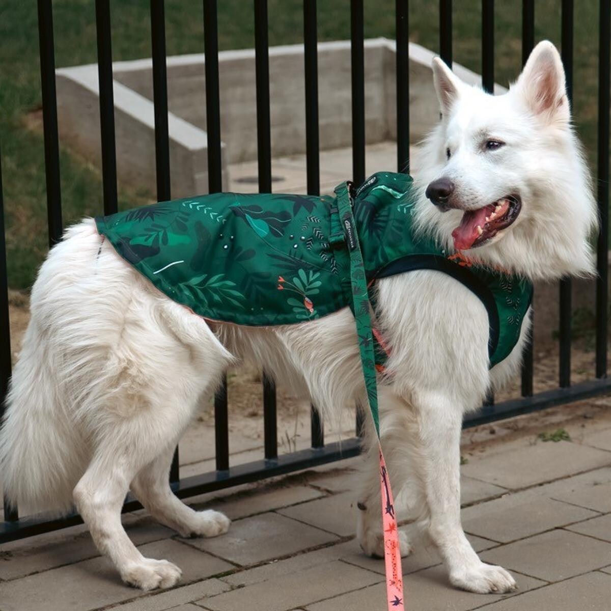 Kurtka dla psa "Welcome to the jungle" - Rozmiar: XXS