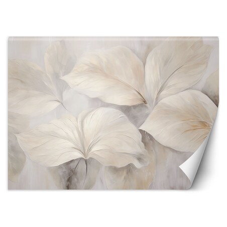 Fototapeta, Liście rośliny natura beżowa boho 3d 350x245