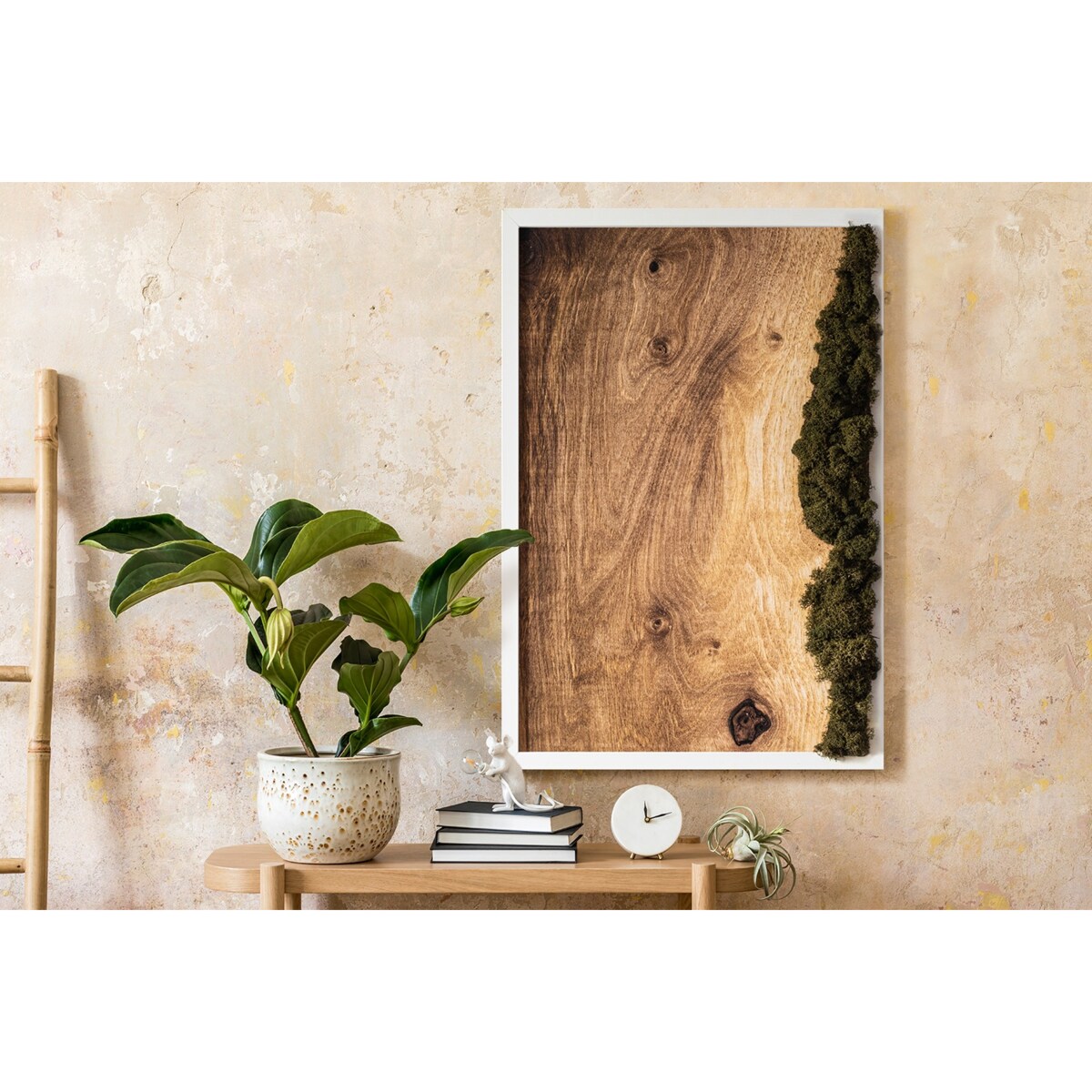 Obraz Dębowa deska naturalna - mech chrobotek w białej ramie 40x60cm