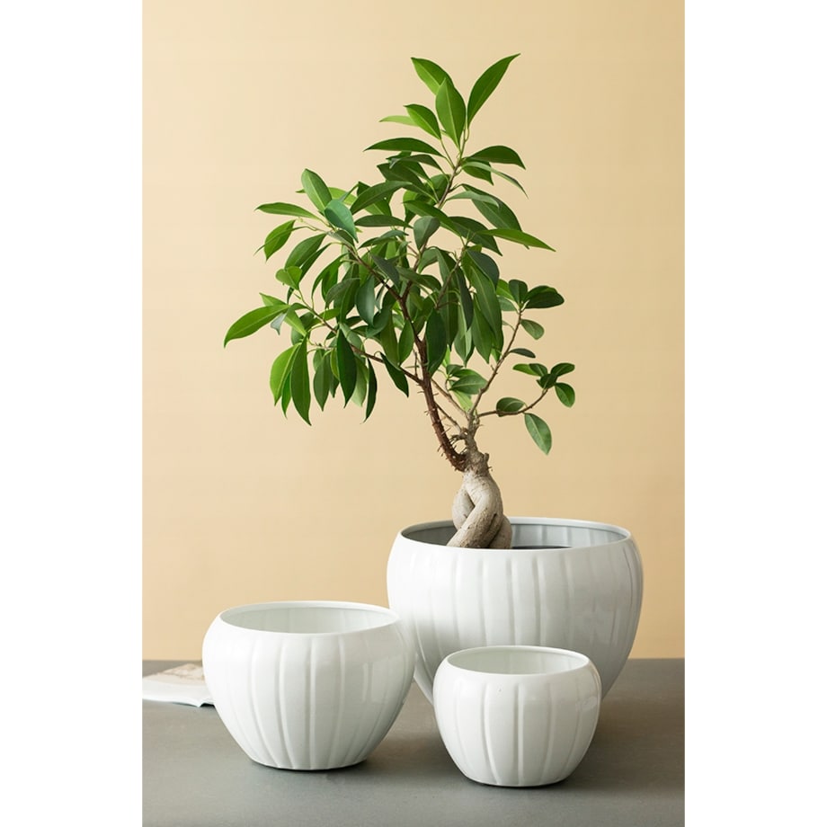 3 szt. DONICZKA MARBI metalowa biała