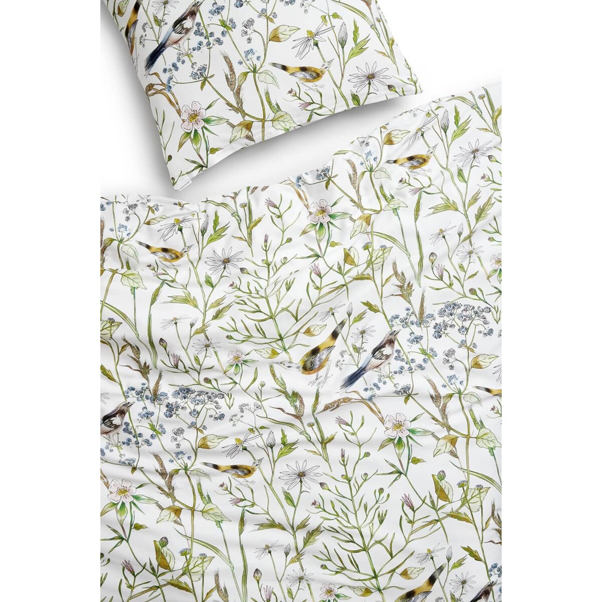 Pościel Ptasie radio 160/200 + 2 x 50/60 cm