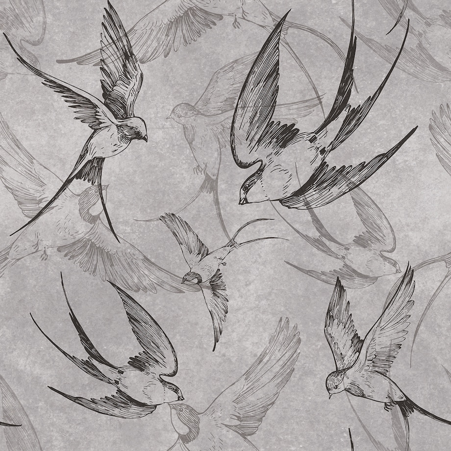 Tapeta Jaskółki, 416x254cm