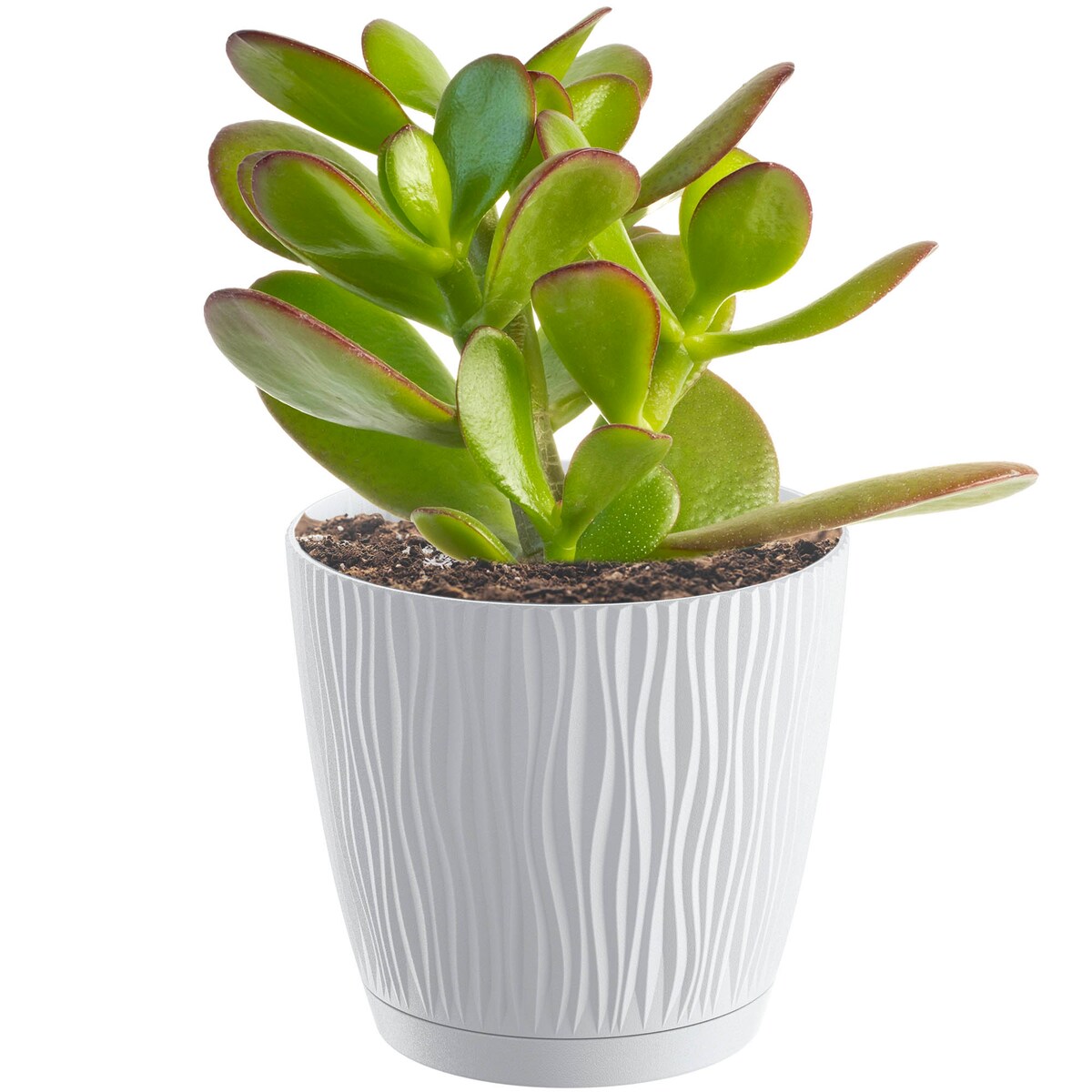 Doniczka Okrągła Z Podstawką Na Kwiaty Zestaw