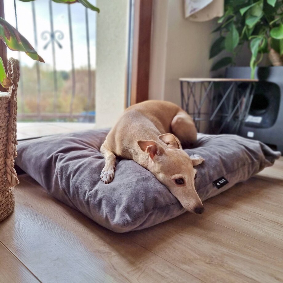 Miękka poduszka dla psa MALIBU, 60x50 cm, Grafit