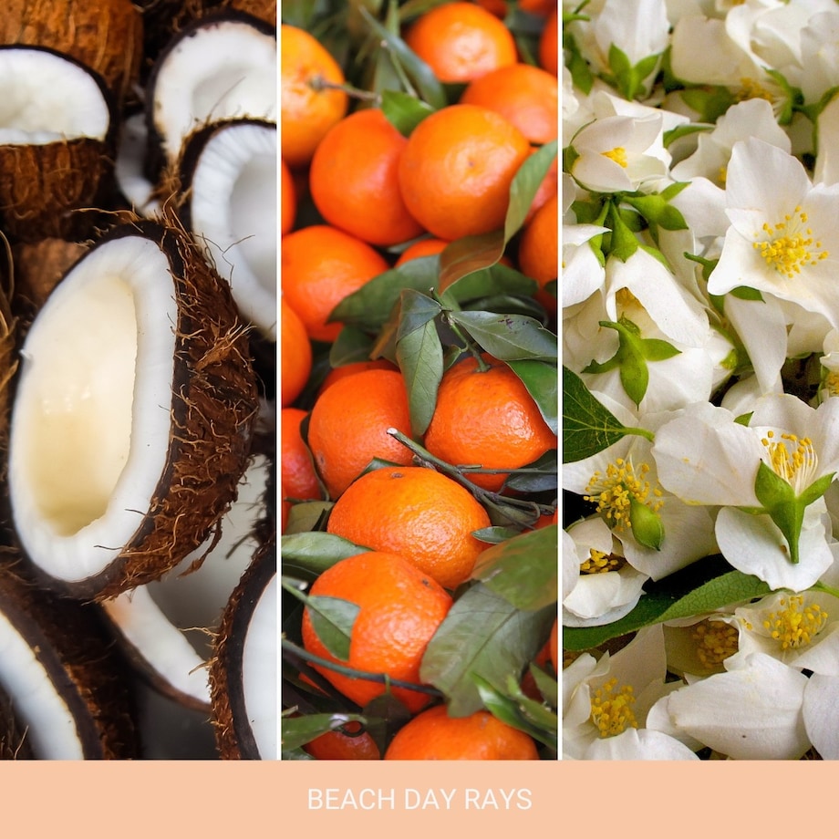 Home Inspiration wosk BEACH DAY RAYS