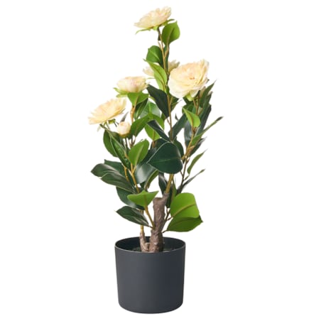 Sztuczna roślina CAMELLIA 60 cm Zielony