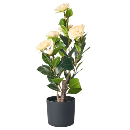 Sztuczna roślina CAMELLIA 60 cm Zielony