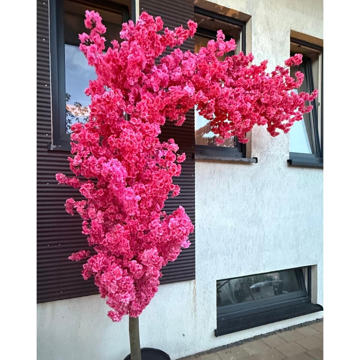 Drzewo wiśnia fuksjowa boczna na naturalnym pniu 220 cm