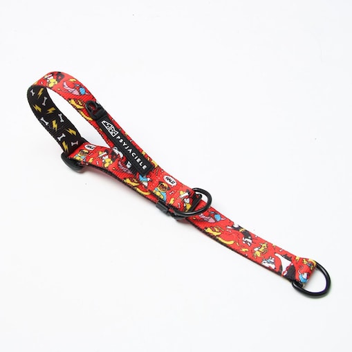 Obroża półzaciskowa dla psa lub kota "Pies, który lata najlepsze ma za sobą" - Szerokość taśmy: 38mm, Rozmiar: L