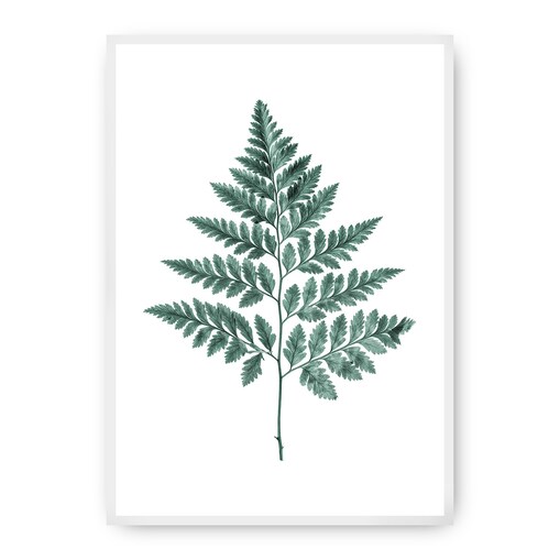 Plakat Fern Emerald Green, 30 x 40 cm, Ramka: Biała