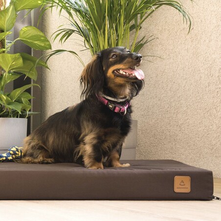 Animood Legowisko ortopedyczne Melman rozmiar: XL, kolor: brązowy, materiał: kodura