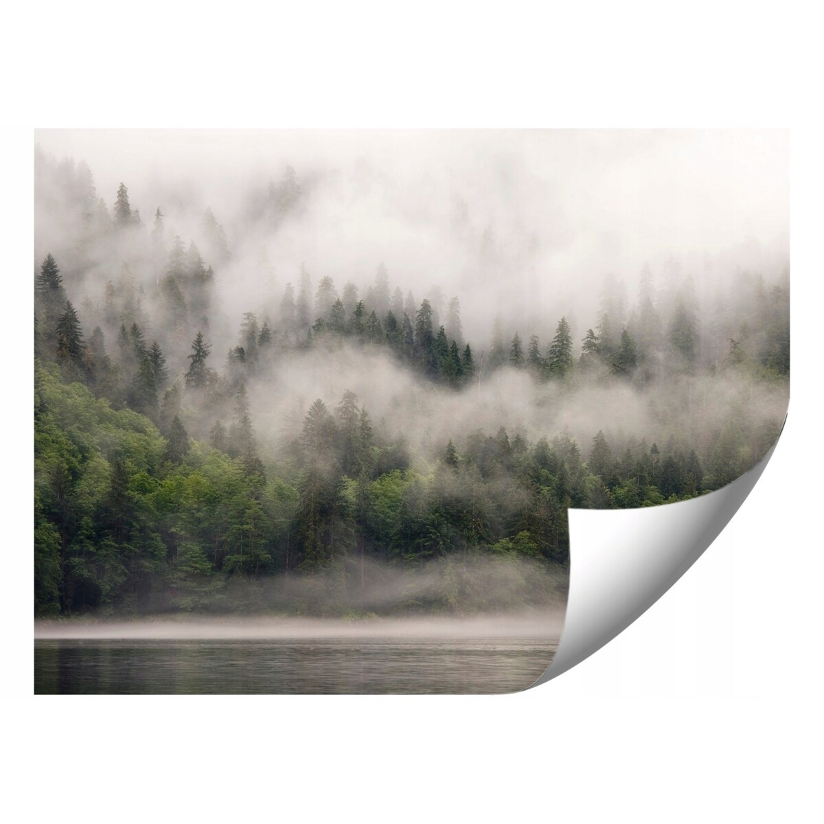 FOTOTAPETA 01-LAS_WE_MGLE DO SYPIALNI SALONU TAPETA ŚCIENNA 150x105