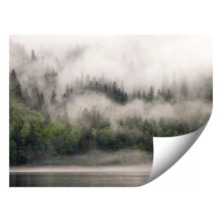 FOTOTAPETA 01-LAS_WE_MGLE DO SYPIALNI SALONU TAPETA ŚCIENNA 150x105