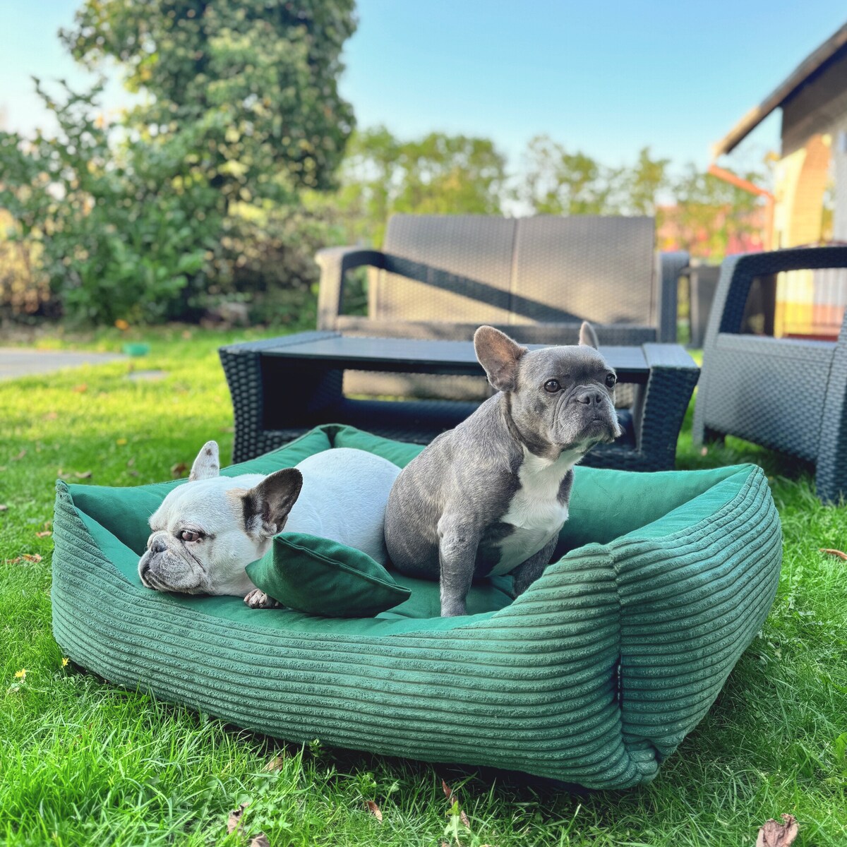 Sztruksowe legowisko dla psa MOLLY, 100x80 cm, Zieleń