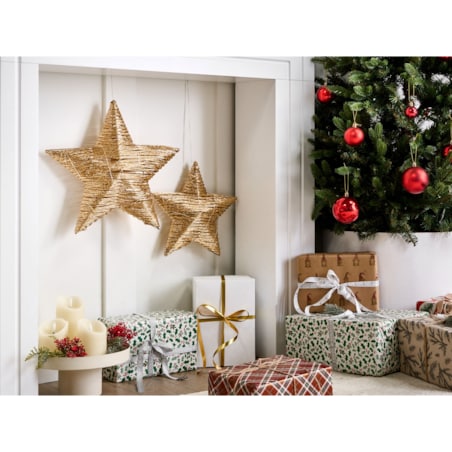 Zestaw 2 dekoracji świątecznych LED HAMPEN Gwiazda 24/30 cm Złoty