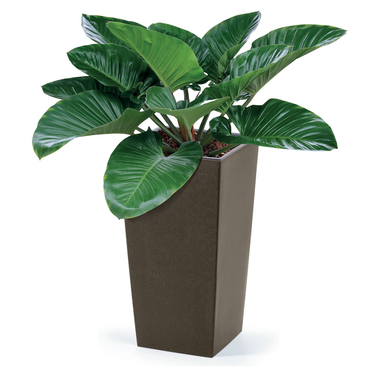 Donica Doniczka Ogrodowa 19,5 Cm Na Taras Do Ogrodu Domu Eco Wood Kawa