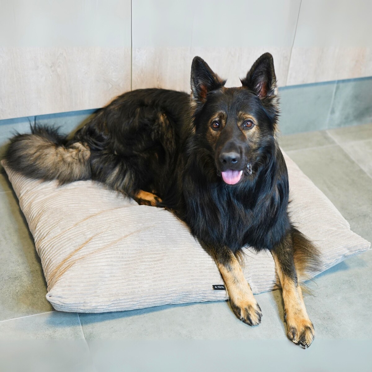 Poduszka dla psa ze sztruksu MOLLY, 100x80 cm, Beż