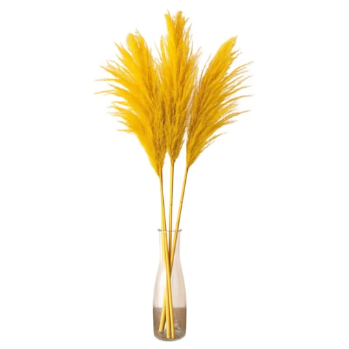 Zestaw 5 sztuk żółtych stabilizowanych Traw Pampasowych| Wysokość 160 cm