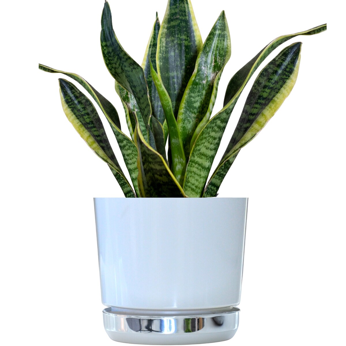 18 Doniczka DUO BIAŁA z podstawką KRAINA LODU dwukolorowa nowoczesna z połyskiem elegancka efekt lustra srebrna minimalizm