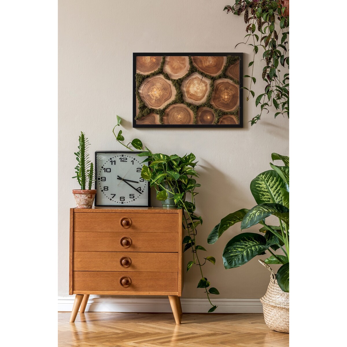 Obraz Przekrój pnia - mech chrobotek w czarnej ramie 60x40cm