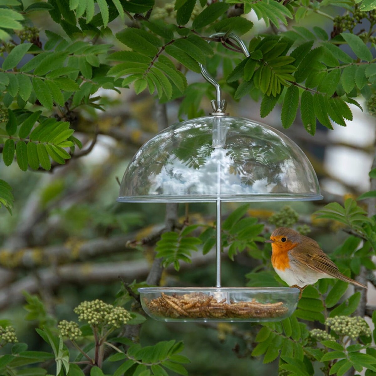 Transparentny Karmnik na ziarno wiszący Przeźroczysty 21,5 cm Okrągły