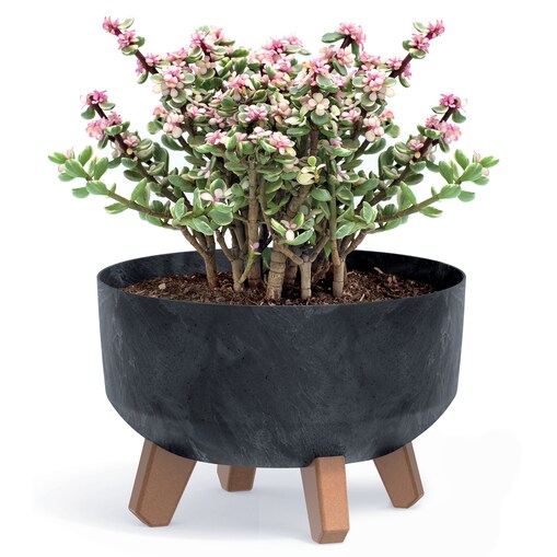 Doniczka Donica Na Kwiaty Ogrodowa Misa Na Nóżkach 23,5 Cm Efekt Betonu Gracia Low