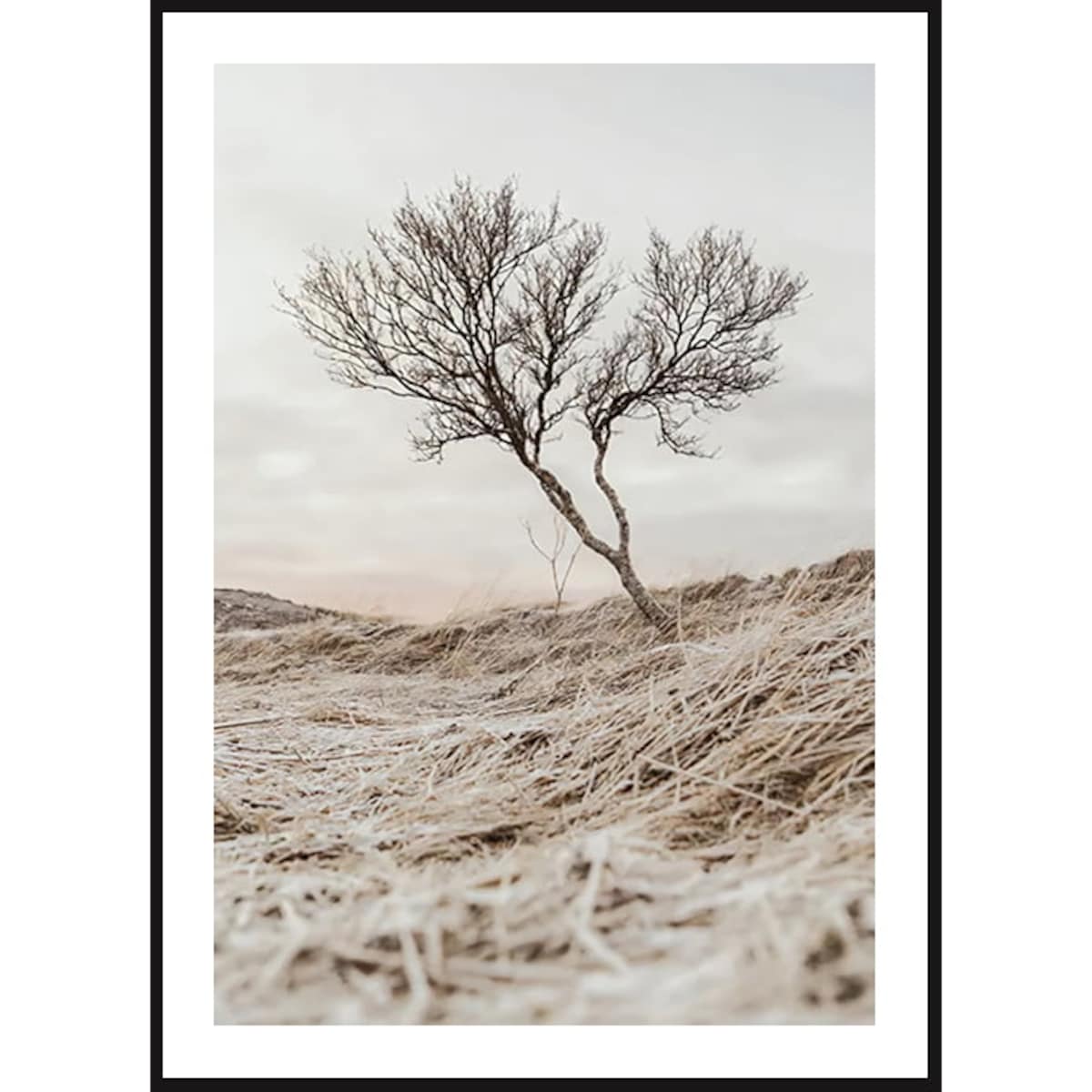 Poster Story, Plakat, Obraz - Samotne Drzewo, wymiary 50 x 70 cm