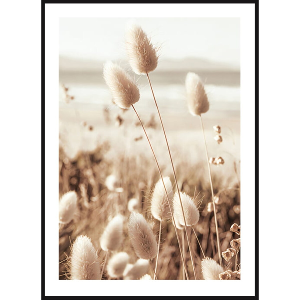 Poster Story, Plakat, Obraz - Trawa Pampasowa, wymiary 50 x 70 cm