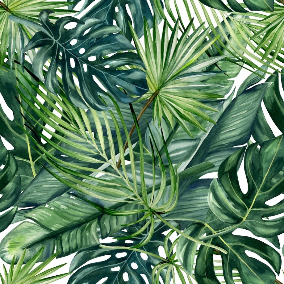 Tapeta Liście TROPIKALNE Malowane Akwarelą