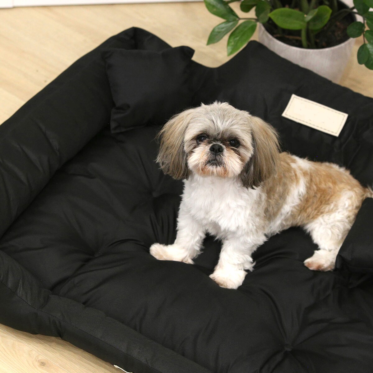 Legowisko Dla Psa 55X45 Cm Posłanie Kanapa Z Miejscem Na Imię Wodoodporne