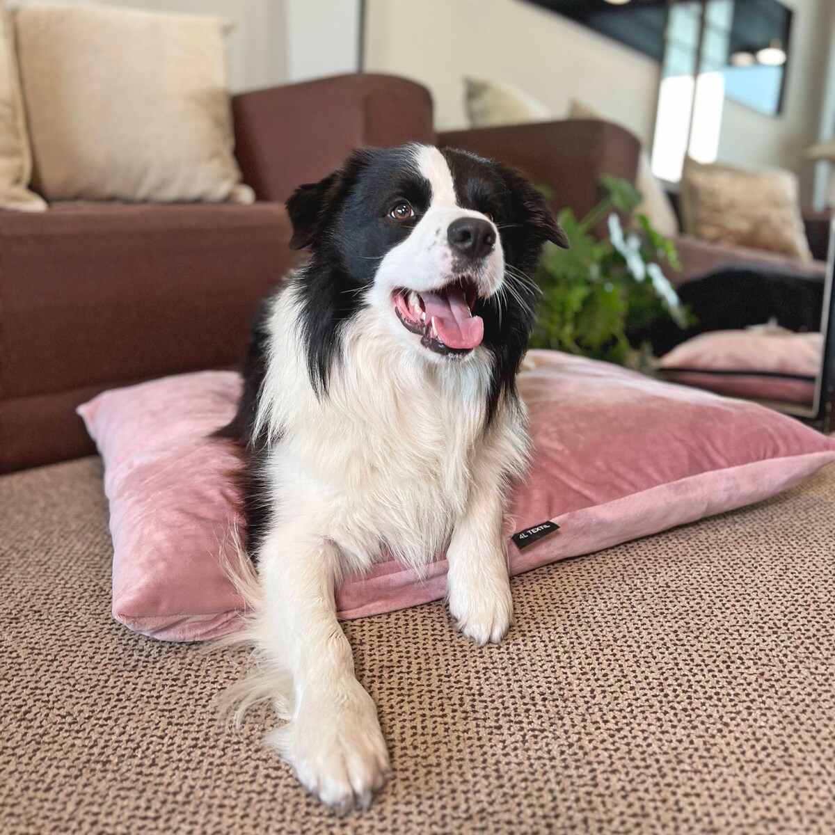 Miękka poduszka dla psa MALIBU, 100x80 cm, Róż