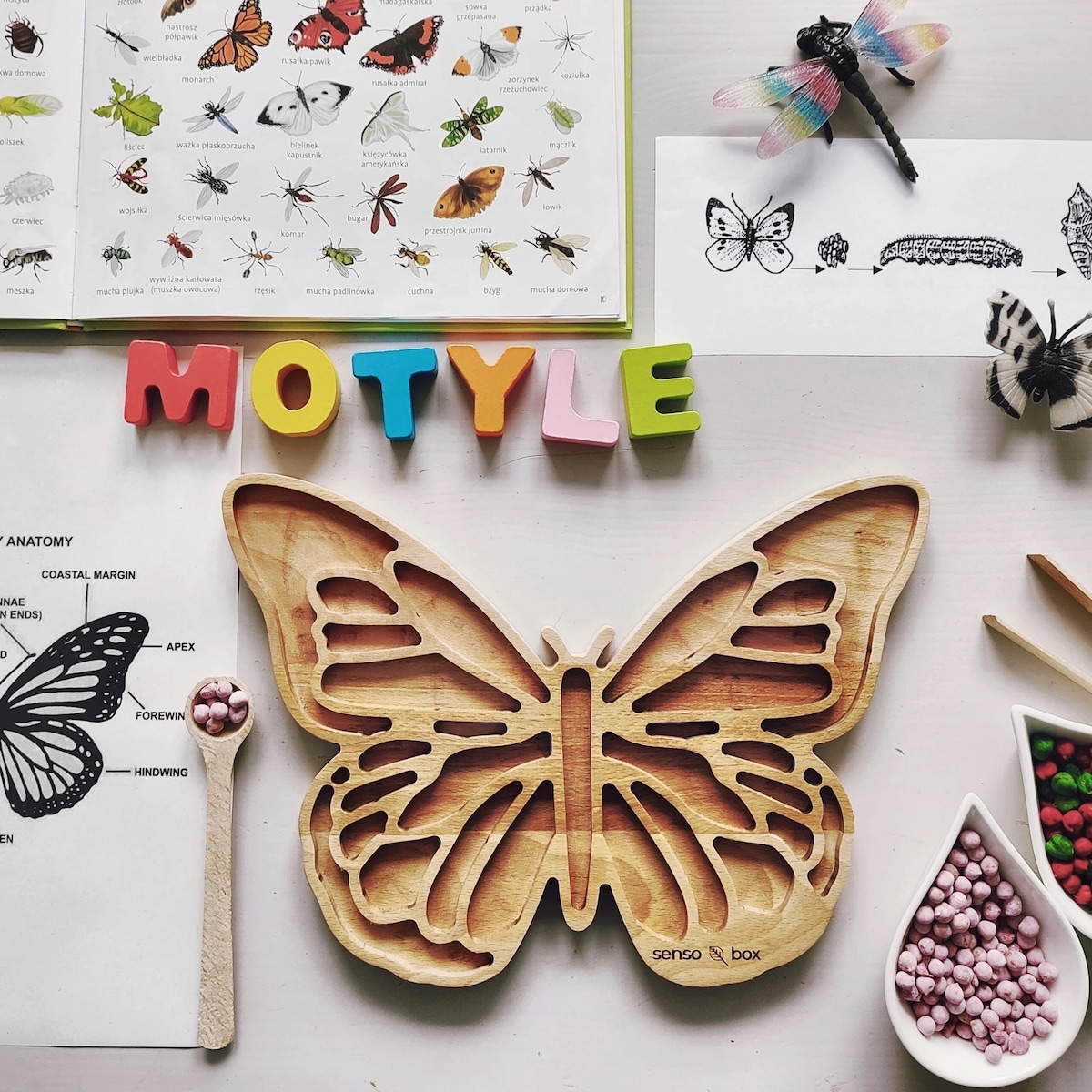 Wysypywanka sensoryczna Motyl