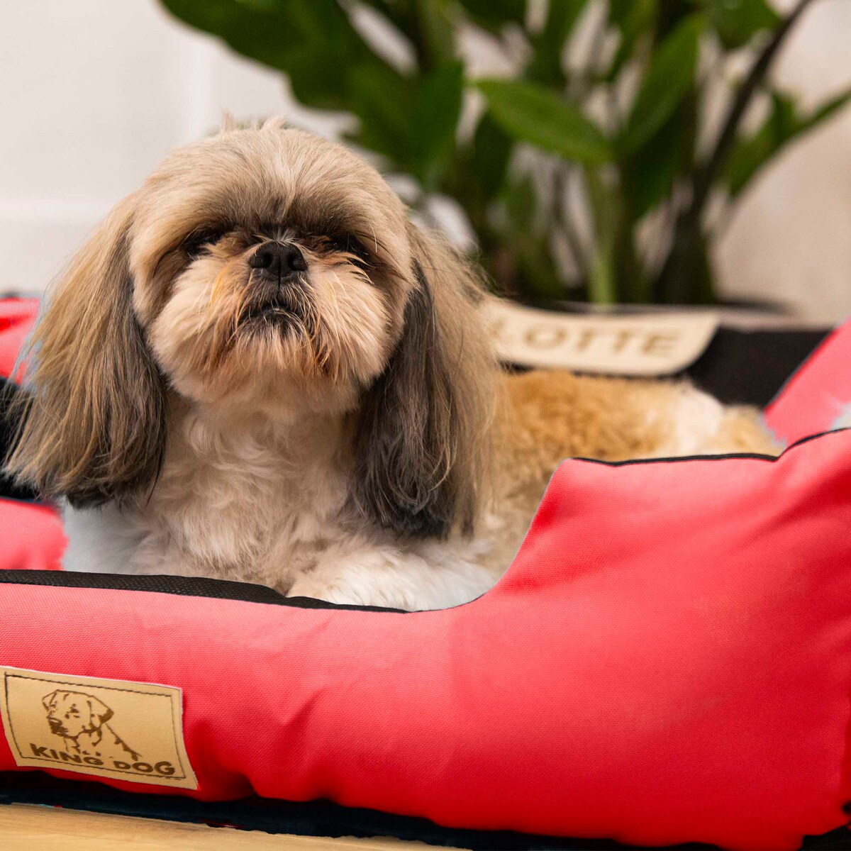 Legowisko Dla Dużego Psa 130X105 Cm Posłanie Kanapa Z Miejscem Na Imię Wodoodporne