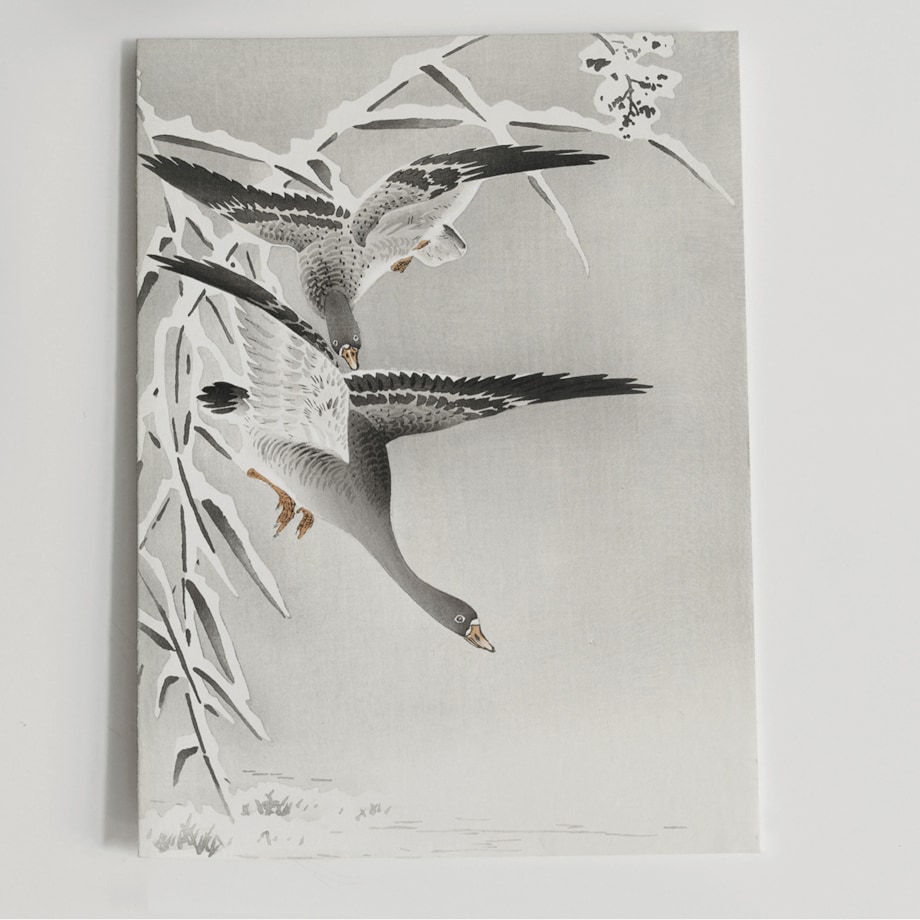 Plakat Gęsi 30x40cm