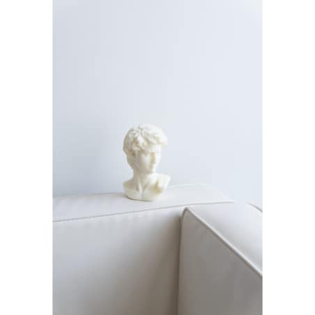 Świeca sojowa Dawid, 430 g, INSPIRA