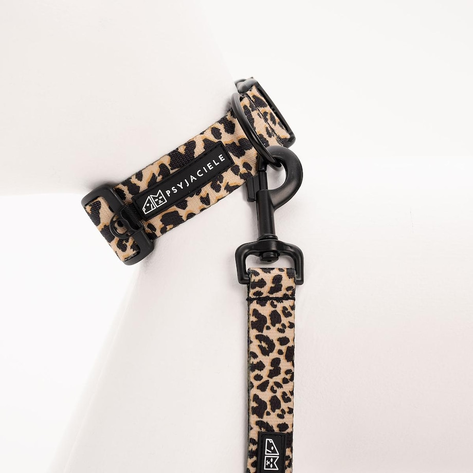 Obroża dla psa lub kota "Pan tera mi kupi" PANTERKĄ DO GÓRY - Szerokość taśmy: 38mm, Rozmiar: M