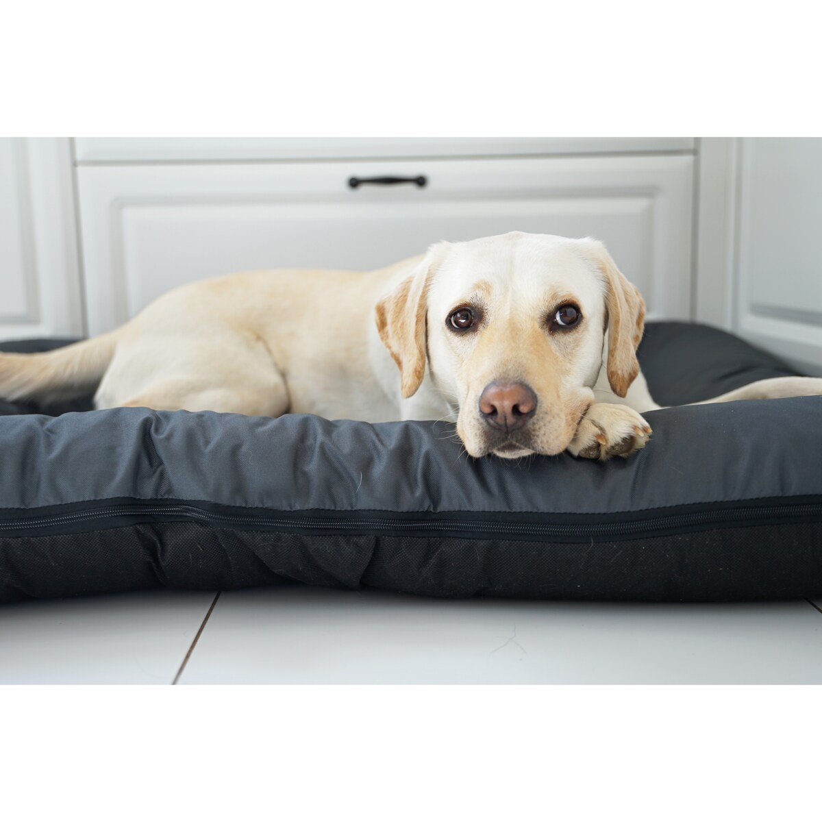 Wodoodporny materac dla psa ponton KLEO, 90x70 cm, Grafit
