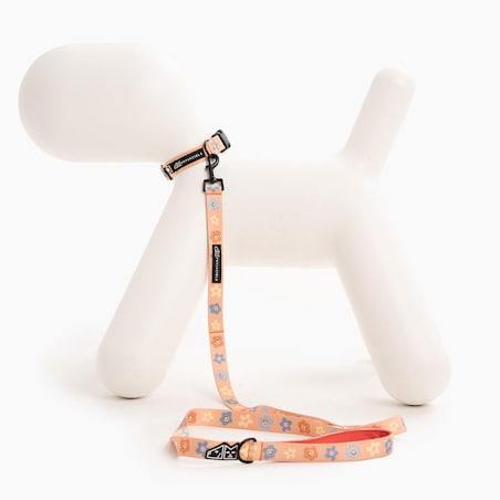 Obroża dla psa lub kota "Oopsy Daisy" - Szerokość taśmy: 20mm, Rozmiar: XS