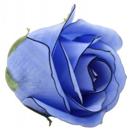 RÓŻA NIEBIESKA Z CZARNĄ OBWÓDKĄ 1szt kwiaty mydlane na bukiet prezent BOX