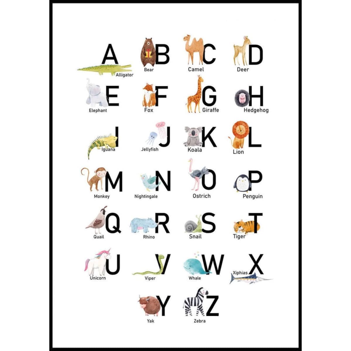 Poster Story, Plakat, Obraz - ABC ze Zwierzątkami, wymiary 50 x 70 cm